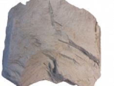 Diatomite cải thiện tôm nuôi trong hệ thống biofloc nước lợ