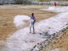 Lưu ý khi sử dụng vôi trong ao tôm