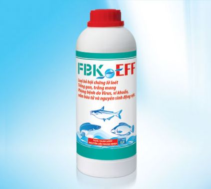 FBK - EFF