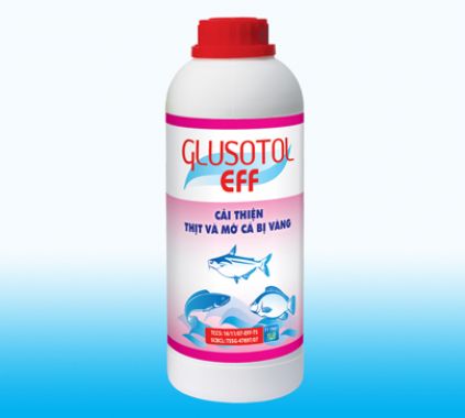 GLUSOTOL - EFF