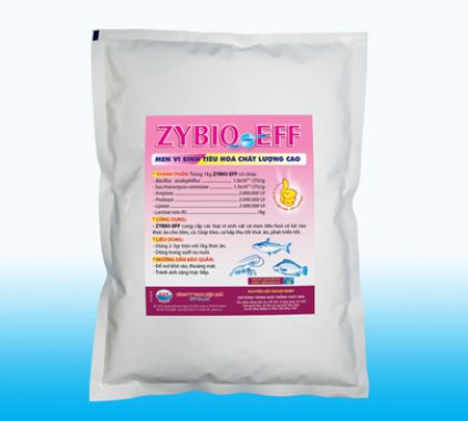 ZYBIO - EFF